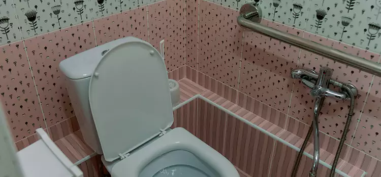 Meeting Diverse Needs With Accessible Restroom Solutions in Shelbyville, IN